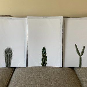 Fine Art Photographs